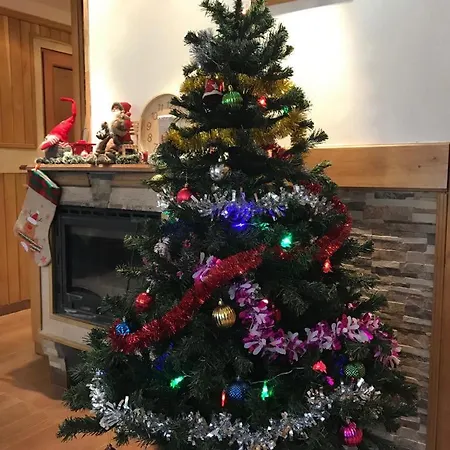 Ray Ot Durvo Veliko Tarnovo