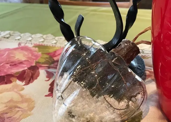 Ray Ot Durvo וליקו טורנובו